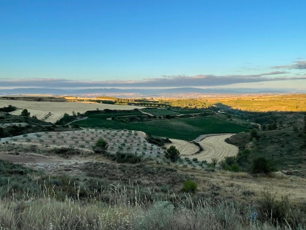 El Camino Inverso / Il Cammino Inverso – Jornada 7 / Giornata  7: Torres del Río –&nbsp;Logroño