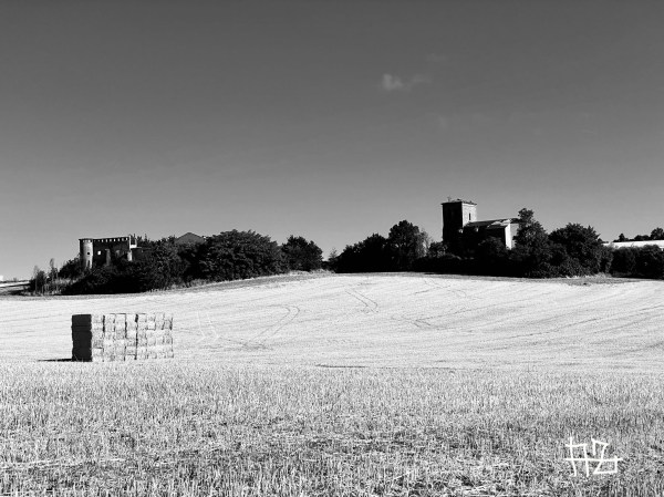 El Camino Inverso / El Cammino Inverso. Jornada 4: Pamplona – Puente La&nbsp;Reina