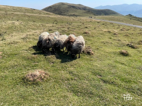 El Camino Inverso / Il Cammino Inverso – Jornada 1 / Giornata 1: Saint Jean Pied de Port –&nbsp;Roncesvalles