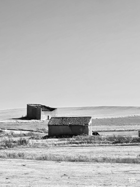 El Camino Inverso / Il Cammino Inverso – Jornada 15ª / Giornata 15ma: Boadilla del Camino – Carrión de los&nbsp;Condes