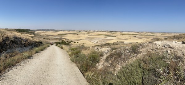 El Camino Inverso / Il Cammino Inverso – Jornada 14ª / Giornata 14ma: Hontanas – Boadilla del&nbsp;Camino