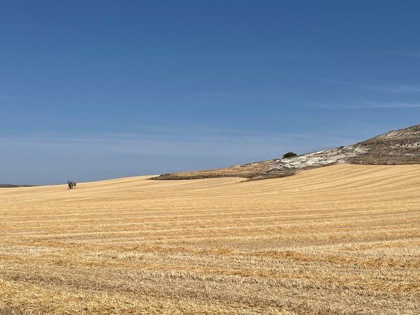 El Camino Inverso / Il Cammino Inverso – Jornada 13ª / Giornata 13ma: Burgos –&nbsp;Hontanas
