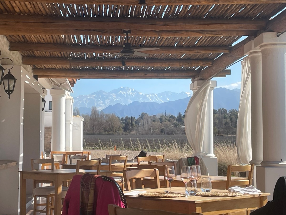 Mendoza, última etapa entre viñedos / Mendoza, ultima tappa tra i&nbsp;vigneti