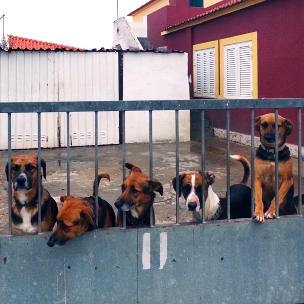 Vila do Bispo –&nbsp;Sagres
